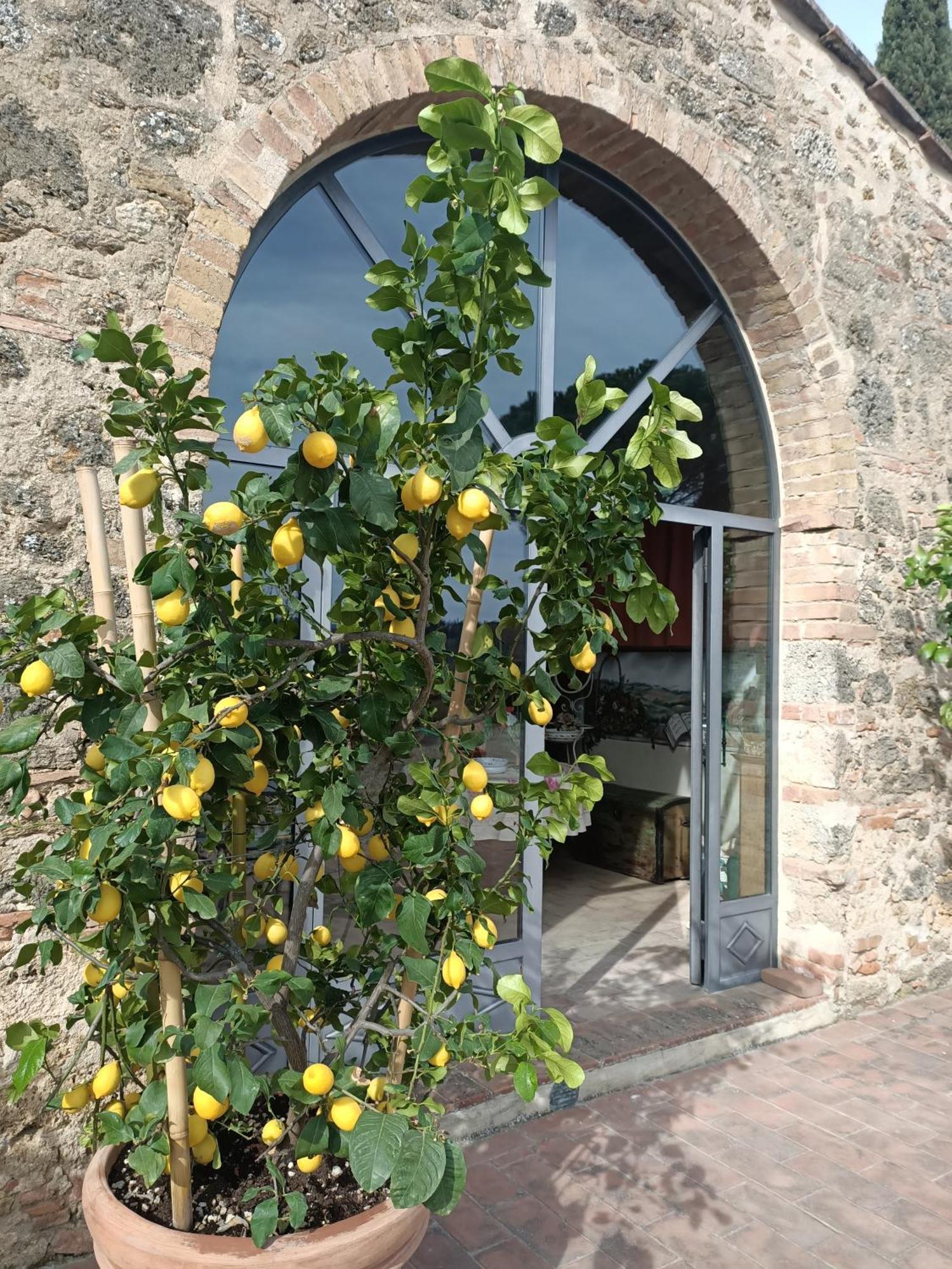 Relais Antico Borgo San Lorenzo Poggibonsi Luaran gambar